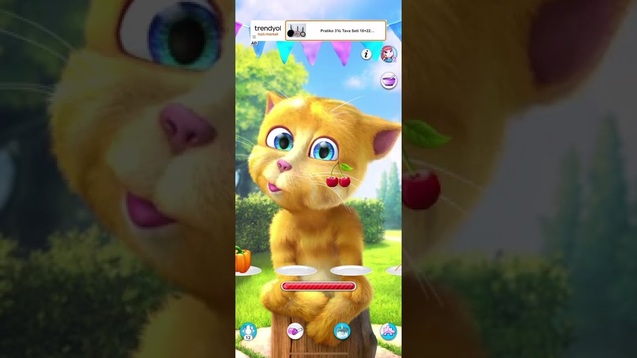 Talking Ginger 5 Shorts Talkingginger Talkingtom Youtubeshorts