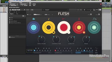 FLESH Review Komplete 11 by Native Instruments | Westlake Pro
