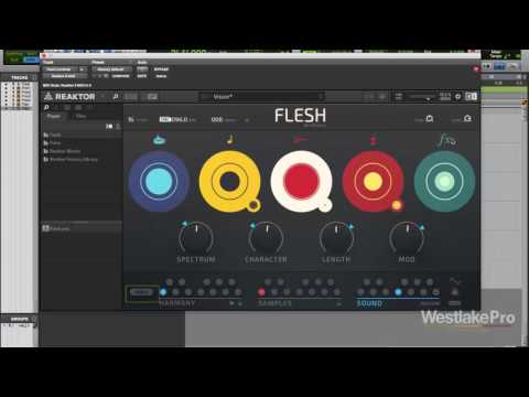 FLESH Review Komplete 11 by Native Instruments | Westlake Pro