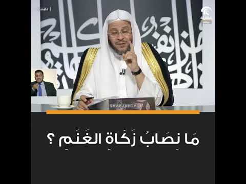 س ما نصاب زكاة الغنم فضيلة الشيخ الدكتور عزيز بن فرحان العنزي