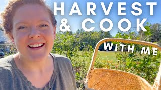 HARVEST & Cook With Me! | FARM TO TABLE