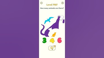 DOP 2 Level 7427 Walkthrough - "How many animals are there?" #shorts