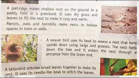 Class 4 EVS Chapter12 part 3