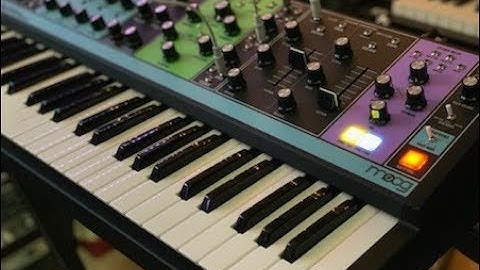 Moog Matriarch - 15 Minutes of Analog Synth experimentation (No talking)