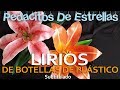 LIRIOS HECHOS CON BOTELLAS PLÁSTICAS. Manualidades recicladas  (subtitulado)