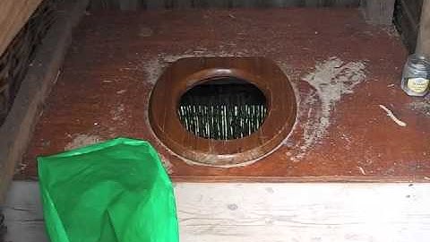 What are composting toilets like?