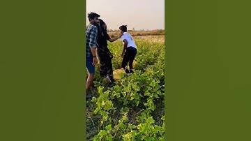 Unlock the Power of Smart Learning with Advanced Gadgets! 🌟 Take learning your journey #couple