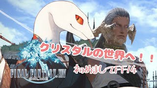 【FINAL FANTASY XIV】夢と光の物語を始めていこう！！【＃白蛇ジゼル】