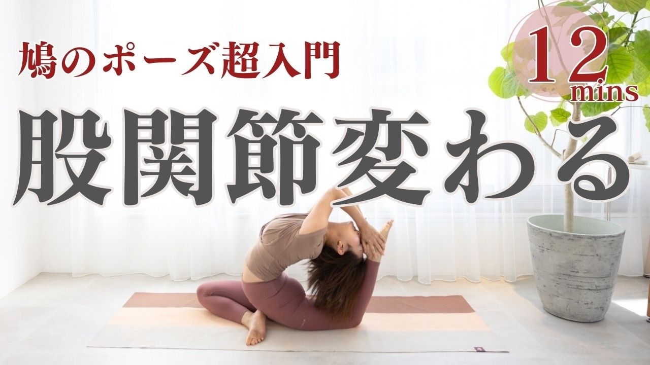 【鳩のポーズが変わる12分股関節ストレッチ】ガチガチでもこれ一本で柔らかく