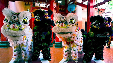 Múa Lân Khai Quang Điểm Nhãn Lân Sư Rồng 2024 / LSR Đế Thiên cúng Chùa Bà Thiên Hậu TP. Phan Rang