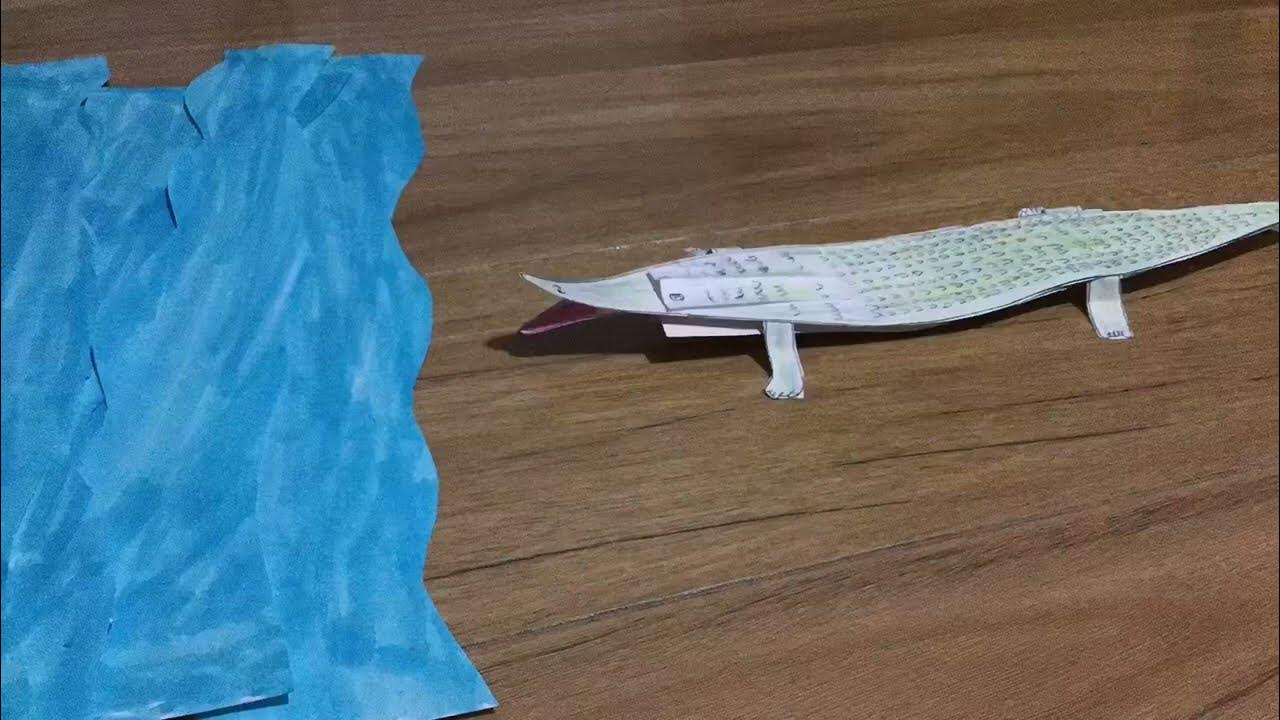 Nile Crocodile VS American Alligator 🐊🐊 (330 Subs Special) | Stop