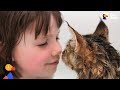 Cat And His Favorite Girl Are Unstoppable | The Dodo