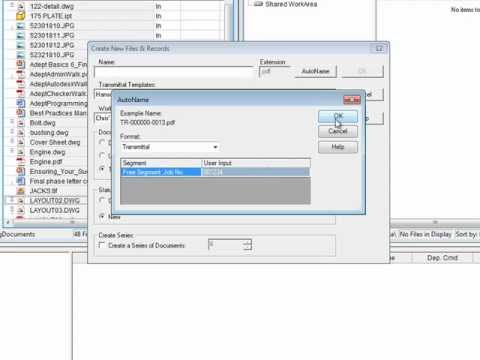 Adept's Transmittal Automation