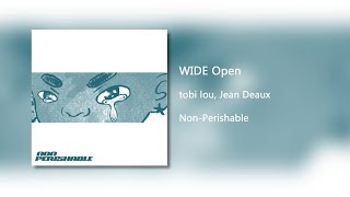 WIDE Open - tobi lou (Clean)
