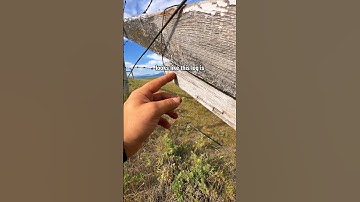 Can you believe where I just found my first Geocache in Canada?! 🇨🇦🤯