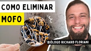 How to get rid of mold on your walls once and for all! (Biologist's Tips)
