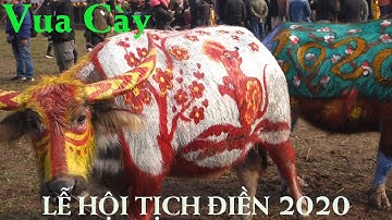 Vua Cày, Lễ Hội Tịch Điền 2020