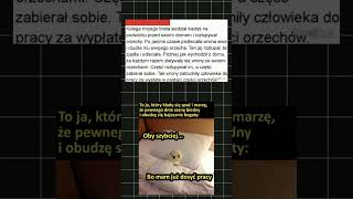 Najlepsze Polskie Memy #37