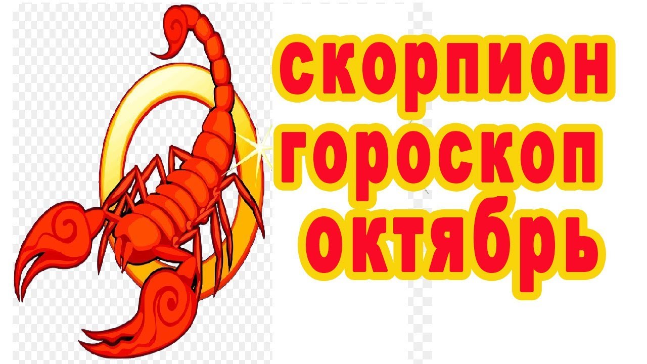 Гороскоп обезьяна скорпион