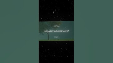 سورة الطور|28-34|القارئ:#محمد_اللحيدان #قران #quran #راحة_نفسية #قران_كريم #تلاوة_هادئة #تلاوة_خاشعة