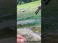 K9についてきたバスにエイトトラップ
