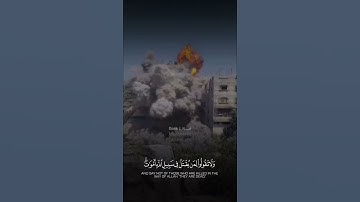 ﴿ ولا تقولوا لمن يقتل في سبيل الله أموات بل أحياء ولكن لا تشعرون ﴾ - القارئ محمد الفقيه