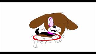 How beagle dances with a hulahoop