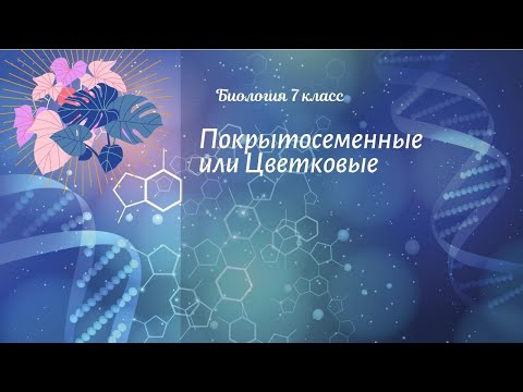 Биология 7 кл Пасечник $18 Покрытосеменные или Цветковые