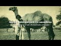 Kaydka soomaaliyeed iyo aasaaskiisa  the somali archive and its origins