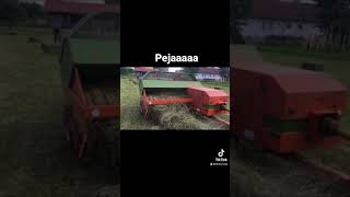 Summer pejaa imt 539