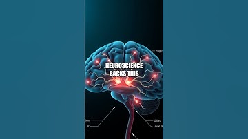 The Empathy Engine: The Science of Labeling Emotions in Relationships