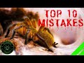 TOP 10 Mistakes Keeping Tarantulas & Spiders - DON'T DO THIS!