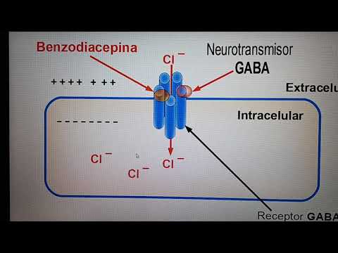 Benzodiacepinas