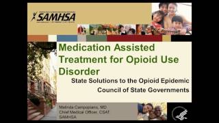 State Solutions to the Opioid Epidemic