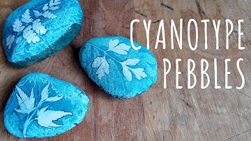 Cyanotype on Unusual Surfaces | Pebbles + Plants + Gesso