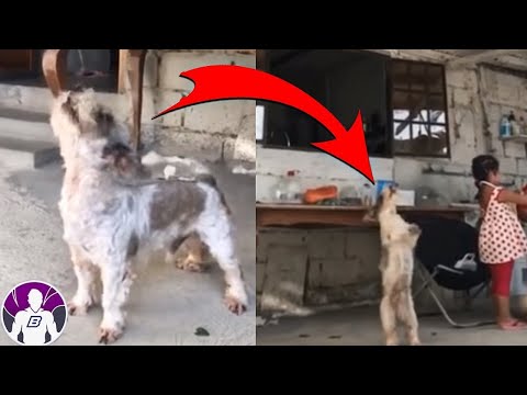 5 Vídeos Inexplicables Que Te Harán Temblar E2 | T3