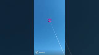 Cody Kite By Miami Kites. #codykite #kites