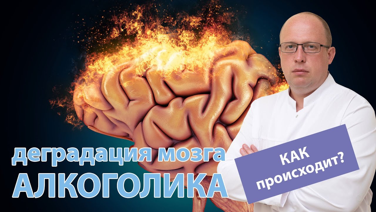 🧠 Как происходит деградация мозга алкоголика? 🚑