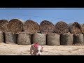 Why are there hay bales at Compass Mining’s Iowa Bitcoin mining site?