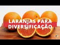 Produção de laranjas para diversificação das propriedades no Sul do RS | Programa Terra Sul