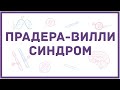 Синдром Прадера-Вилли - механизм развития, причины, клинические проявления