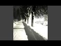 Walk In The Cold Sped Up Walk In The Cold Sped Up