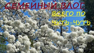 НЕМНОГО ОБО ВСЕМ// МАГАЗИН//ЛЕС И ПРИРОДА// ОГОРОД. ПРИЯТНОГО ПРОСМОТРА.