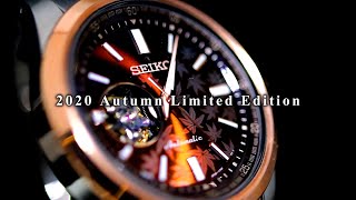 Seiko Selection SCVE056 review. 2020 autumn limited edition.