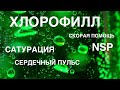 Хлорофилл жидкикй польза, как принимать хлорофилл нсп