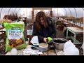 Winter Sowing for 2021! 🌿👩‍🌾🙌 // Garden Answer