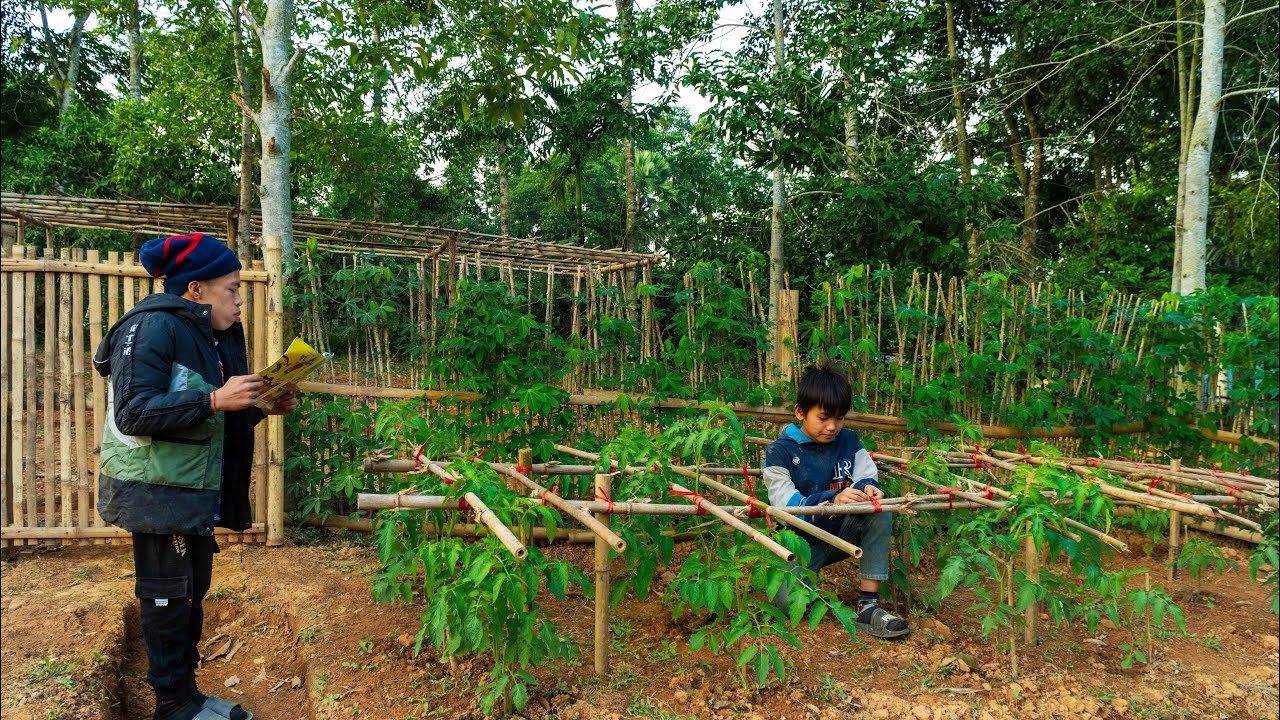 Orphan _ One day working on the farm, planting new trees and taking care of their younger brother