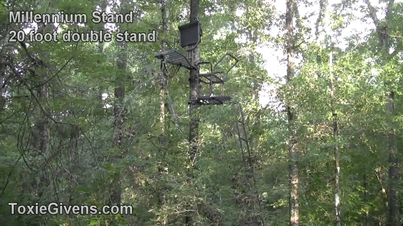 Our Bow Stands Setup Toxie Givens