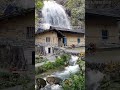 nature videos
