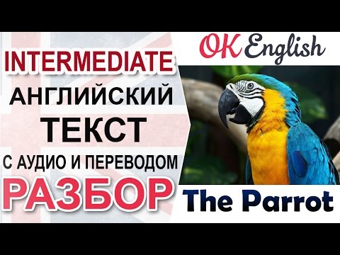 The Parrot intermediate english text: grammar, vocabulary and listening skills 📘| OK English